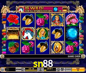 VIP Casino sn88